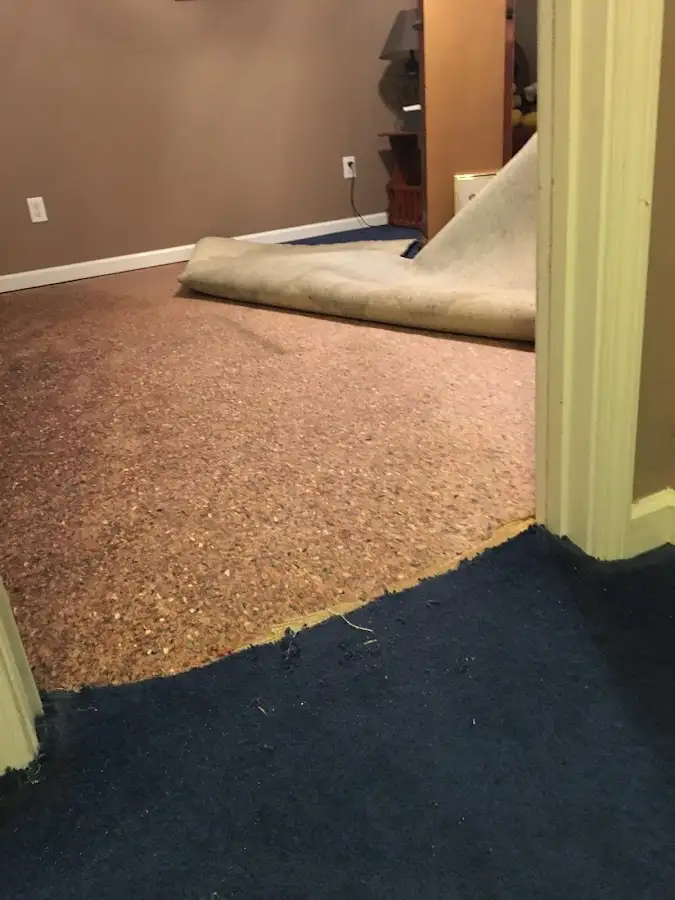 Carpet pad removal revealing water damage during Drying & Dehumidification in Manchester-by-the-Sea